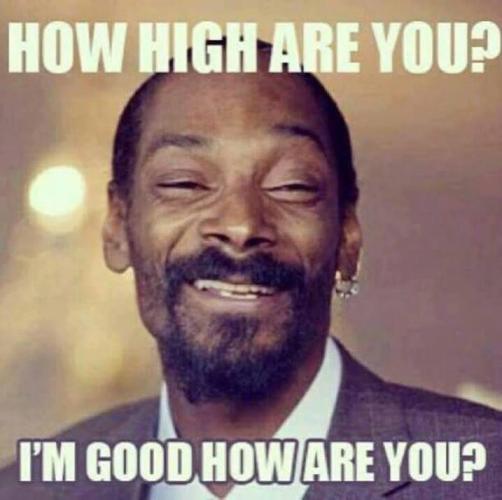 Meme by PurpleHazeSoldiers