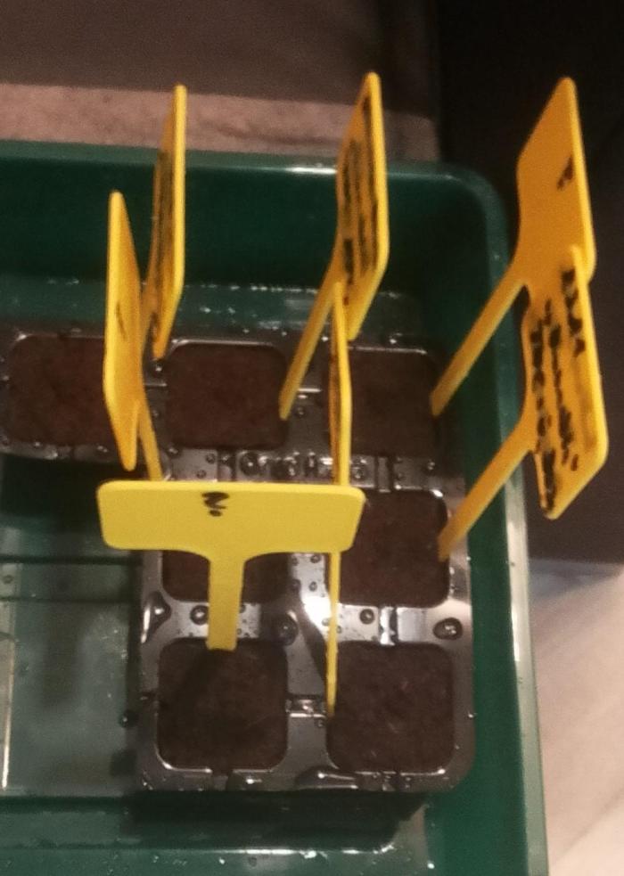 Mix indoor Grow. Week 0 - Start 1.4