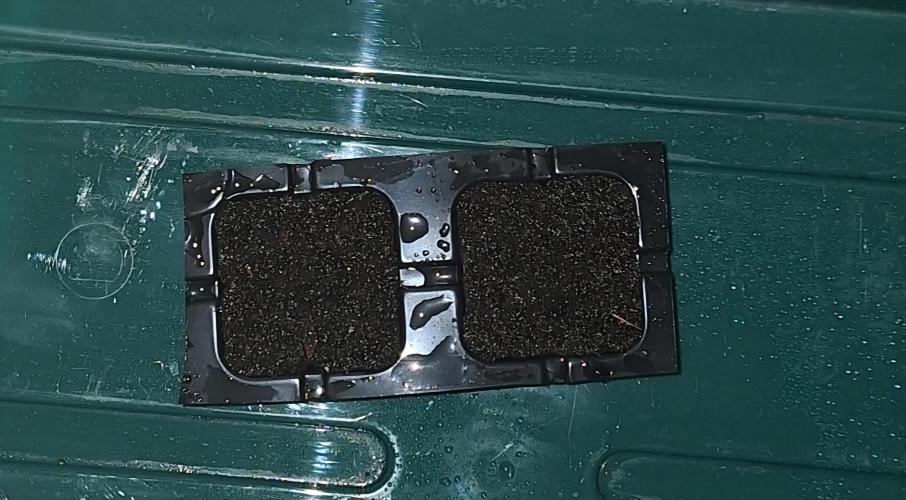 Mamba Negra  first auto. Week 0 - seeds Plant 17.07
