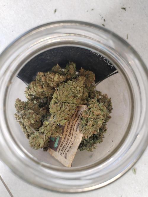 Cheesequake. Week 11