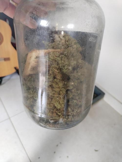 Cheesequake. Week 11