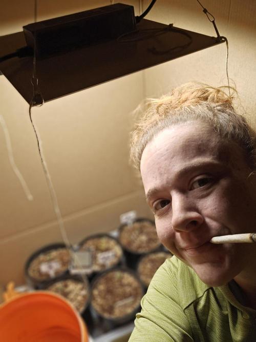 Breeding project. Week 1