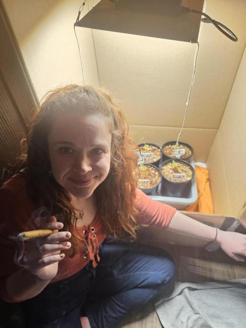 Breeding project. Week 1