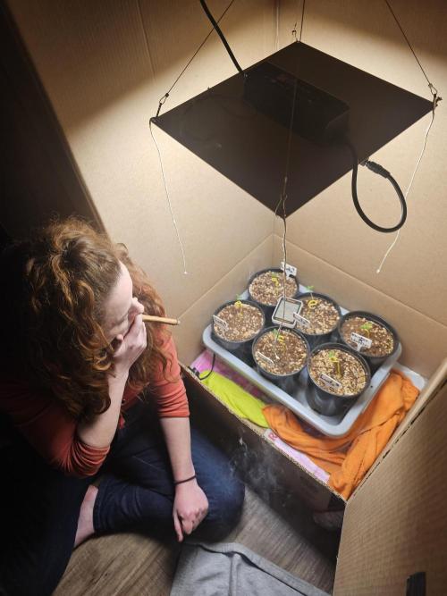 Breeding project. Week 1 - Watching my babies