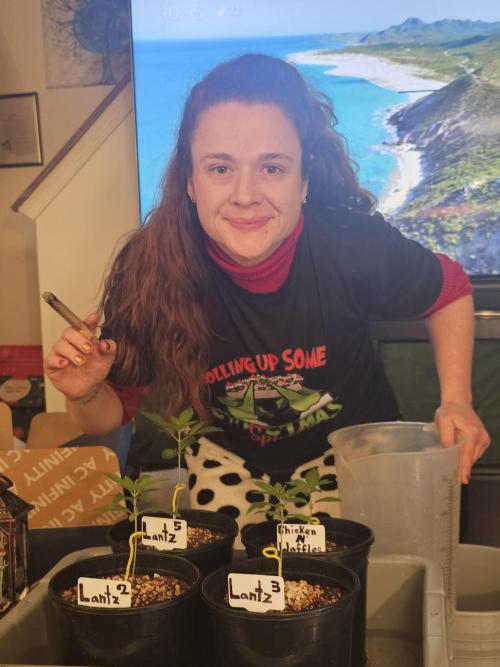 Breeding project. Week 2