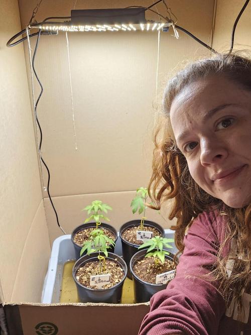 Breeding project. Week 2