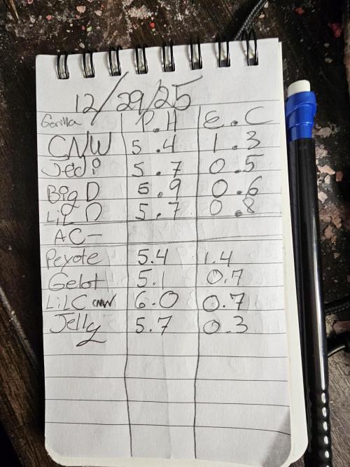 3rd Grow. Week 24 - Numbers after second flush that day