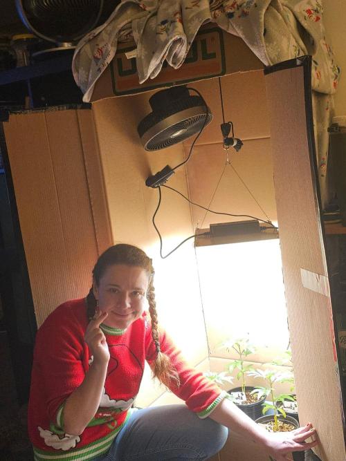 Breeding project. Week 3