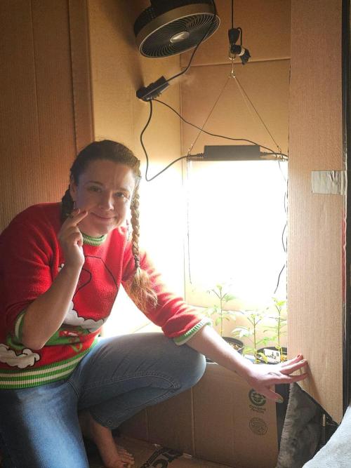 Breeding project. Week 3