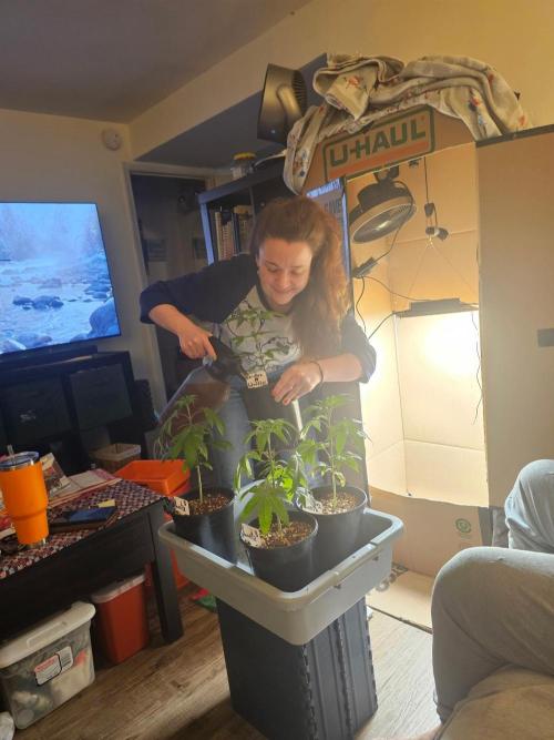 Breeding project. Week 4