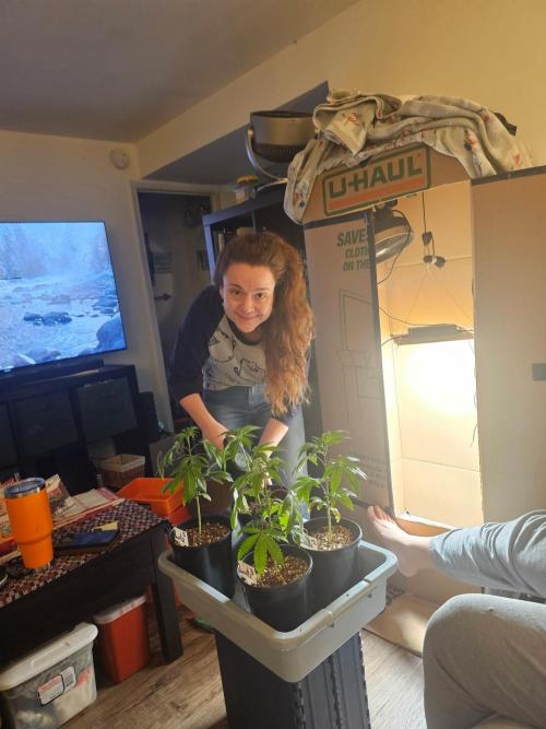 Breeding project. Week 4