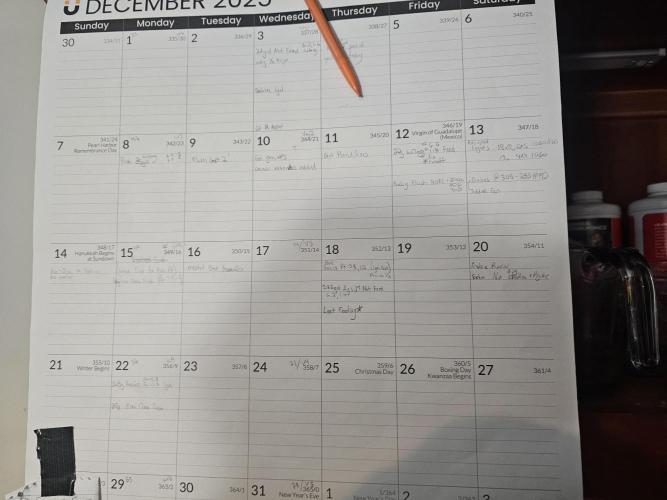 Breeding project. Week 4