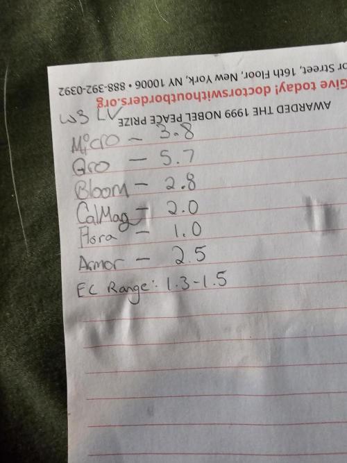 Breeding project. Week 4