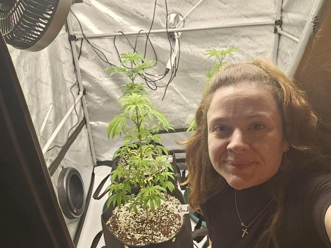 Breeding project. Week 6