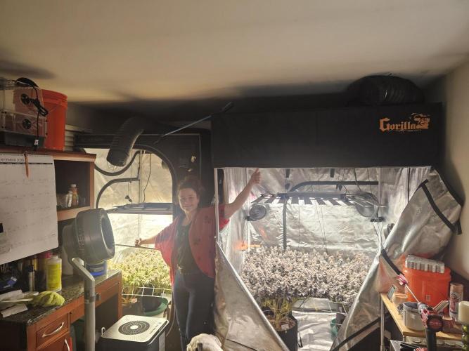 3rd Grow. Week 25 - Grow 2 and 3 combined