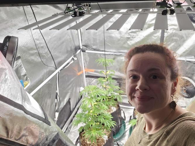 Breeding project. Week 7