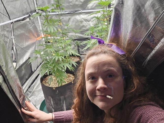 Breeding project. Week 8