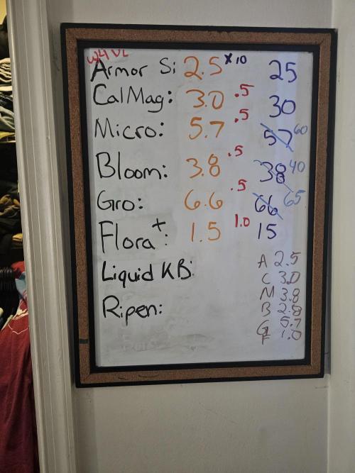 Breeding project. Week 9