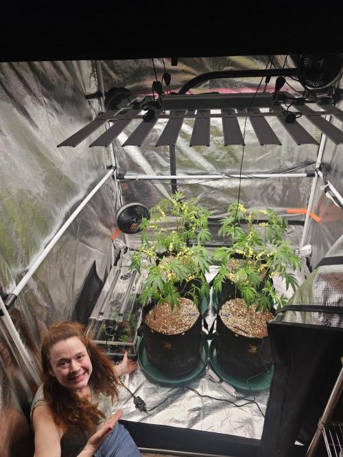 Breeding project. Week 9