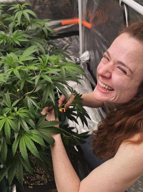 Breeding project. Week 9