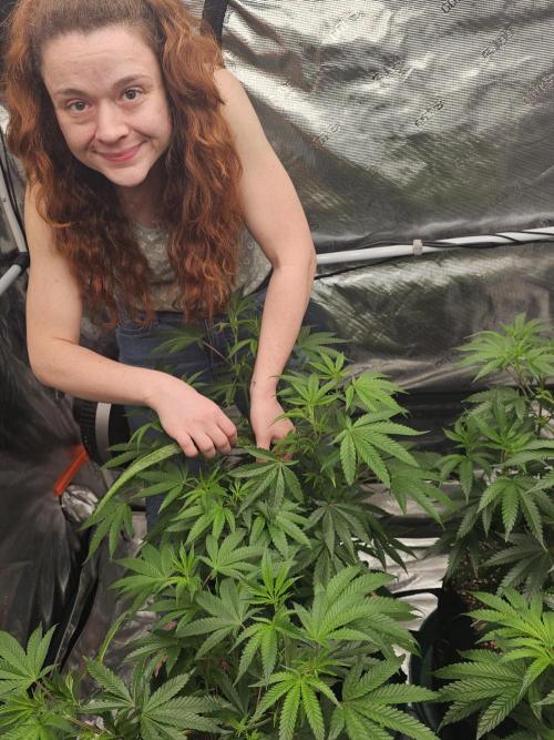 Breeding project. Week 9