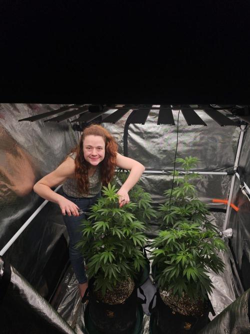 Breeding project. Week 9