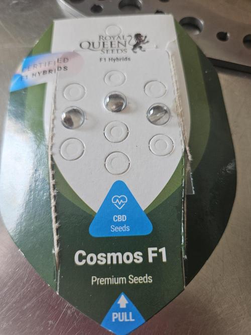 F1 Cosmos Rqs. Week 0
