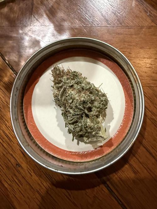 White Widow RQS. Week 15