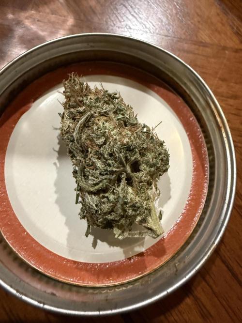 White Widow RQS. Week 15