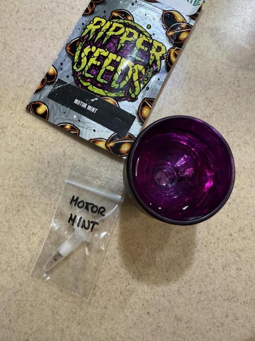 Motor Mint - Ripper Seeds. Week 0