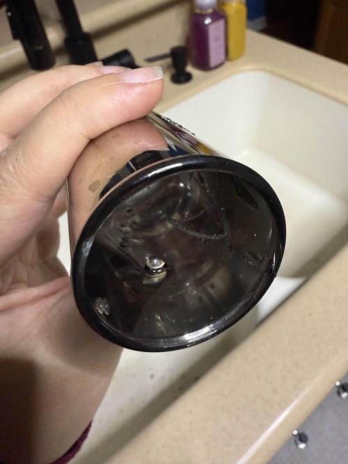 IZI Seeds Brain Swirl Fem Photo. Week 0