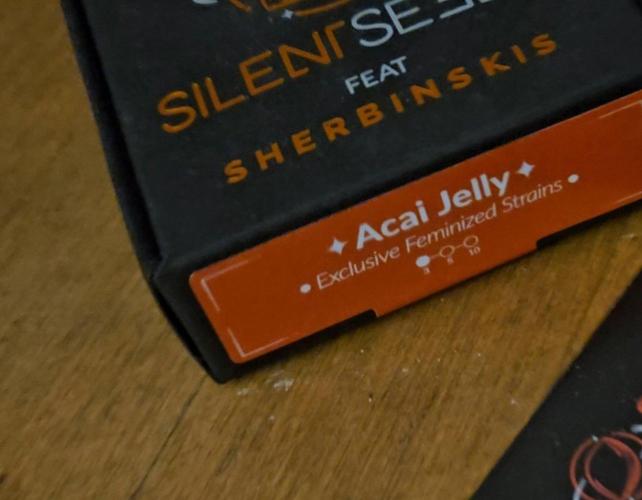 Gelato🍦Sherbinskis & Red Skrrrt Banger. Week 0 - Acai Jelly by Sherbinskis

(Bacia Gelato x Acai Berry)