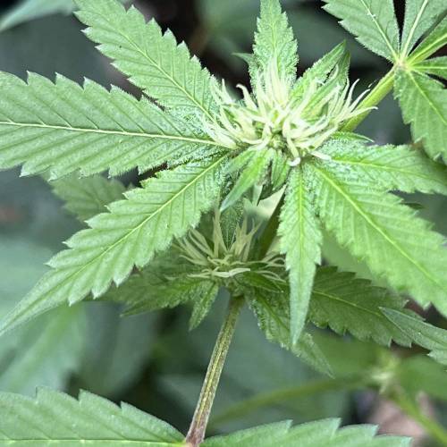 Keep ers” . Week 13