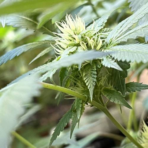 Keep ers” . Week 14