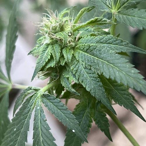 Keep ers” . Week 16