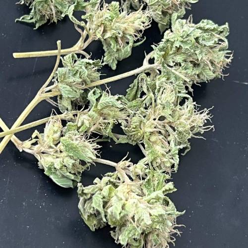 Keep ers” . Week 18