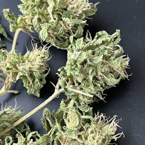 Keep ers” . Week 18