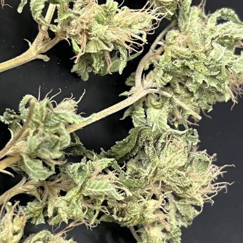 Keep ers” . Week 18