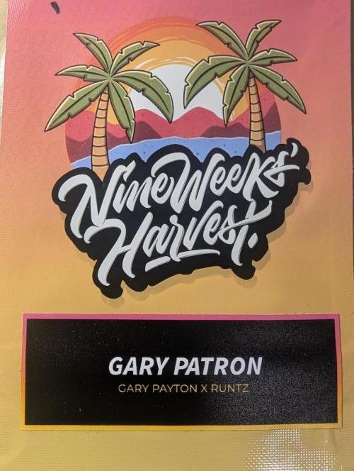 Gary Patron - Nine Weeks Harvest. Week 0