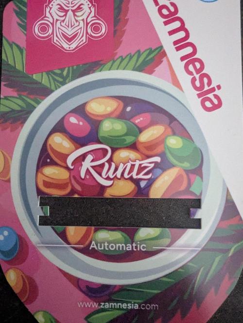 Runtz Auto - G2. Week 0