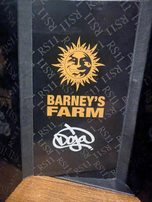 RS11 x Banana OG - G2. Week 0