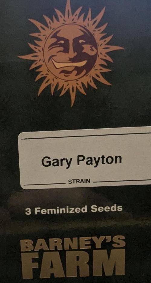 Gary Payton - G2. Week 0