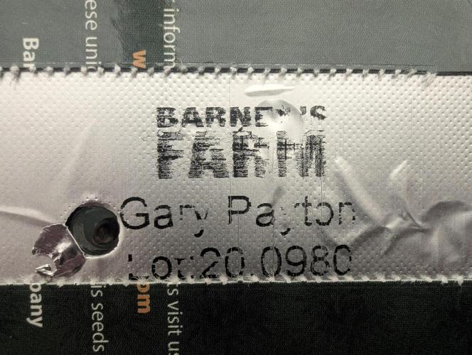 Gary Payton - G2. Week 0