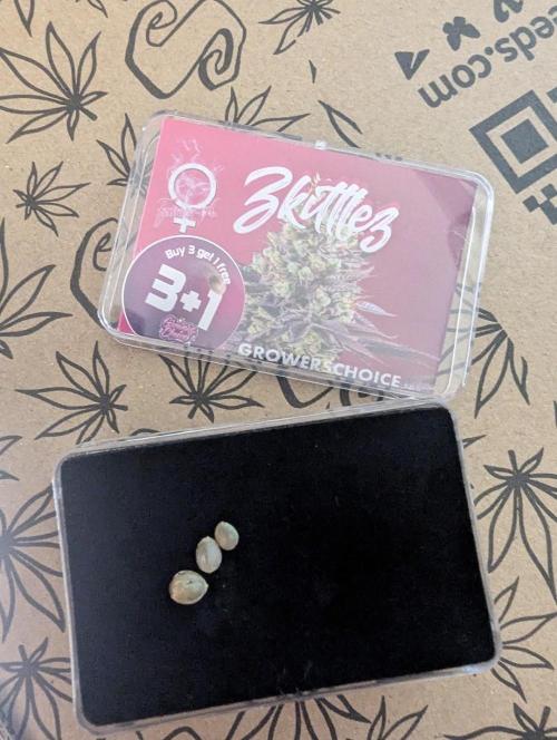 Zkittlez - G2. Week 0