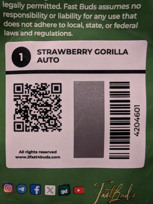 Strawberry Gorilla Auto - FastBuds. Week 0