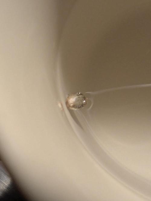 Wizard Fuel - Wizard Trees. Week 0