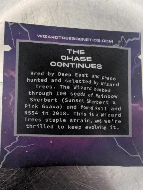 Wizard Fuel - Wizard Trees. Week 0