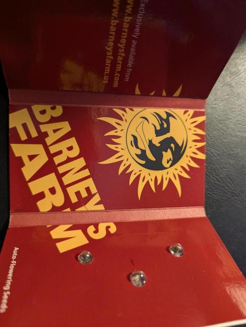 Zkittlez OG Auto - Barney's Farm. Week 0