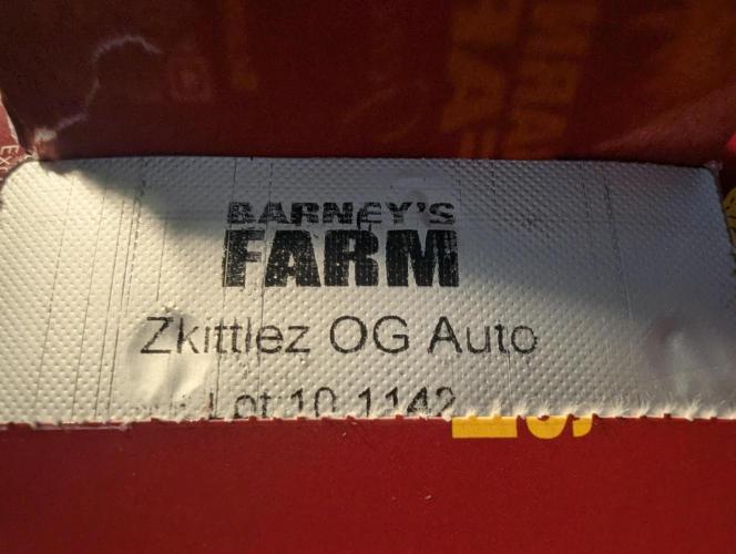 Zkittlez OG Auto - Barney's Farm. Week 0