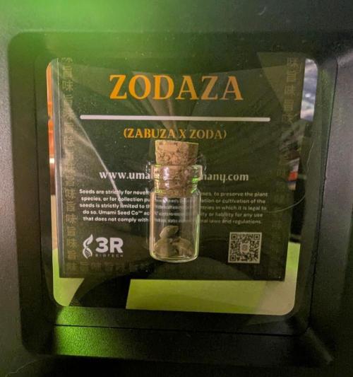 ZodaZa - Umami. Week 0